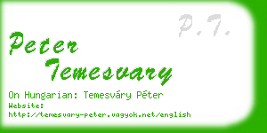 peter temesvary business card